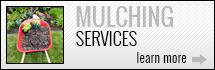 Mulching Services