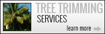 Tree Trimming Services